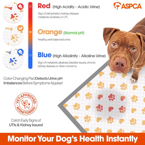 Health Monitoring Dog Pee Pads (100 Count - (22 x 22) / Fresh (+Health))