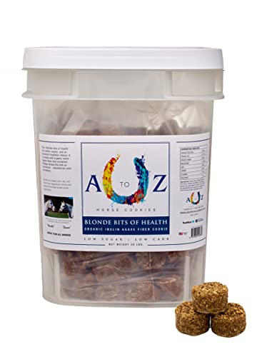 Horse Treats Blonde Bits of Health