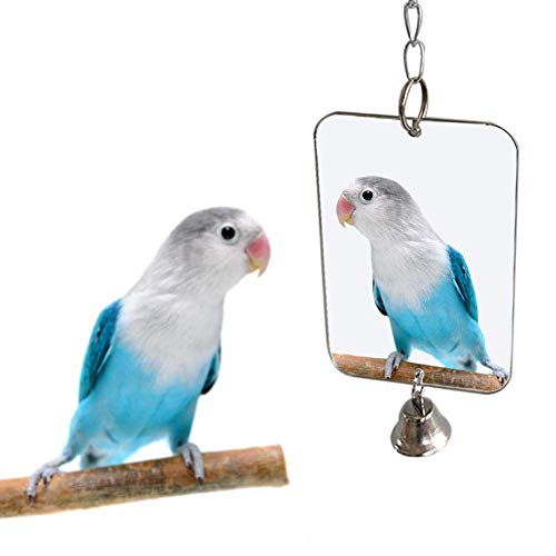 Acrylic Bird Mirror for Small Birds (3.14''W * 4.72''H)