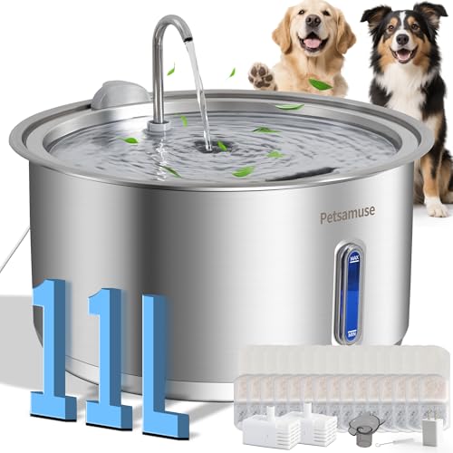 Dog Water Fountain