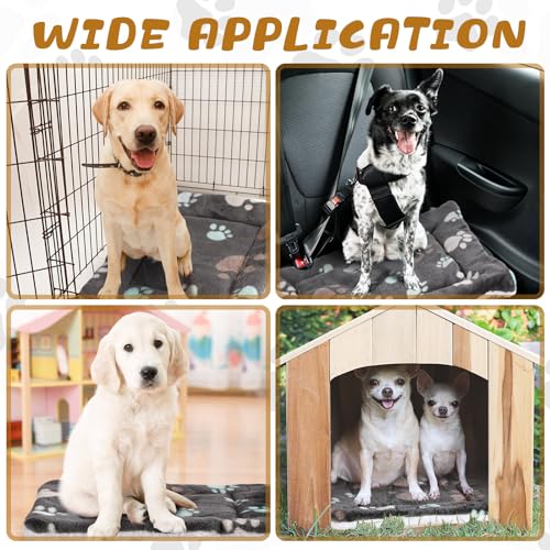 4 Pack Soft Pet Bed Mat Small Dog Crate Fleece (23 x 18 Inches / Black)