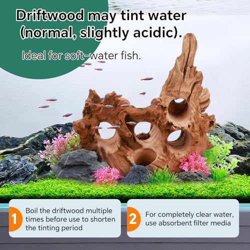 Driftwood for Aquarium Natural Aquarium Wood for Aquascaping Fish Tank Decorations Reptile Tank Decor (11''-15")