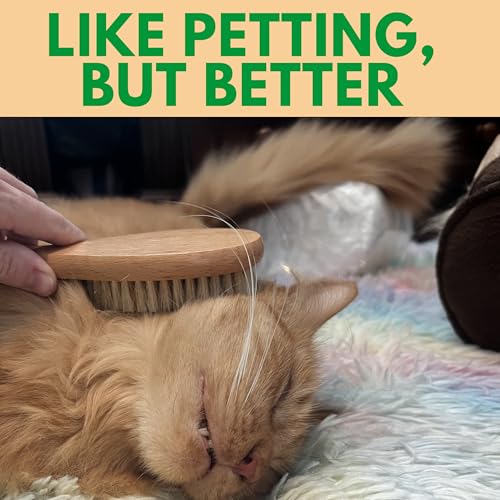 Boar Bristle Soft Cat Brush for Indoor