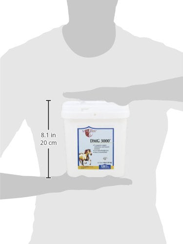 Pro DMG 3000 Horse DMG Concentrate
