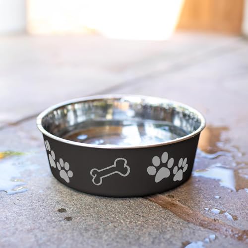 Bella Dog Bowls (Espresso / Medium (20-35lbs))