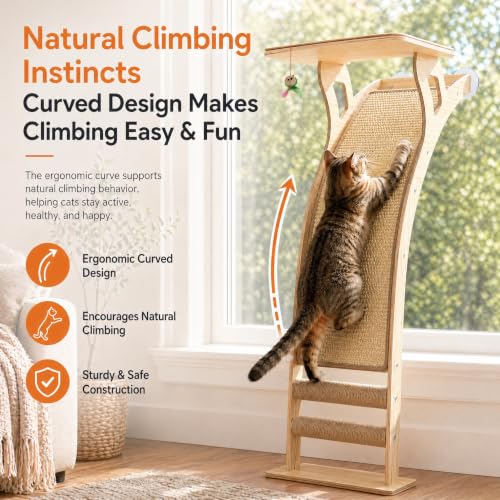 Cat Window Perch with Scratcher Ramp (Medium)