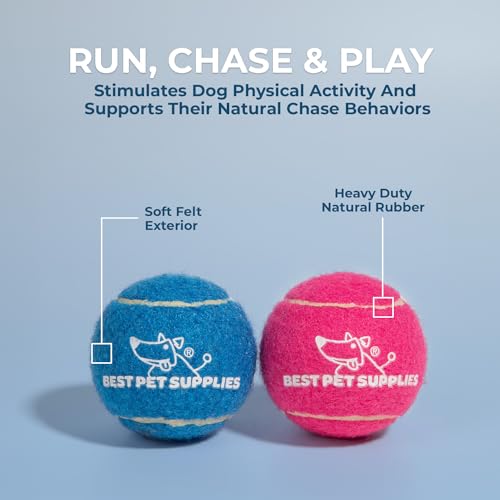 Interactive Squeaky Dog Chew Toy (Tennis (Assorted Color) / Small)