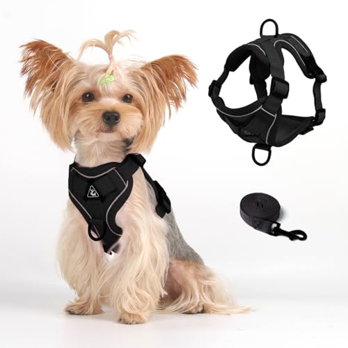 Cat Harness and Leash Set (Black / L)