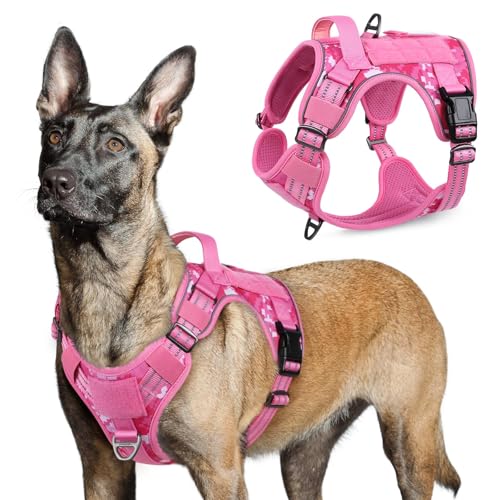 Tactical Dog Harness for Large (Pink camo / Large)