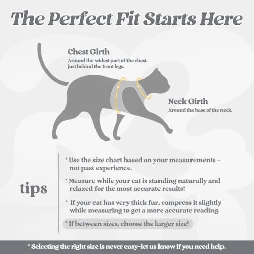 Cat Harness and Leash Set (L / Grey)