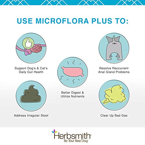 Microflora Plus (30 Capsules / For Dogs)