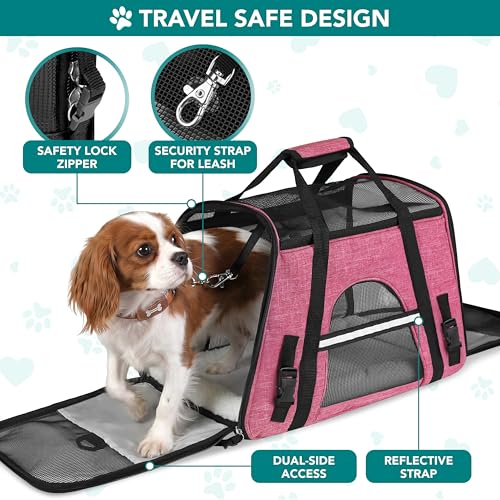 Airline Approved Pet Carrier for Cats Small Dogs (Heather Pink / 17.0"L x 10.2"W x 11.2"H)