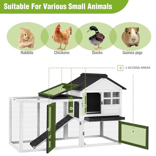 Rabbit Hutch Indoor or Outdoor (White / 48.0"L x 48.0"W x 24.0"H)