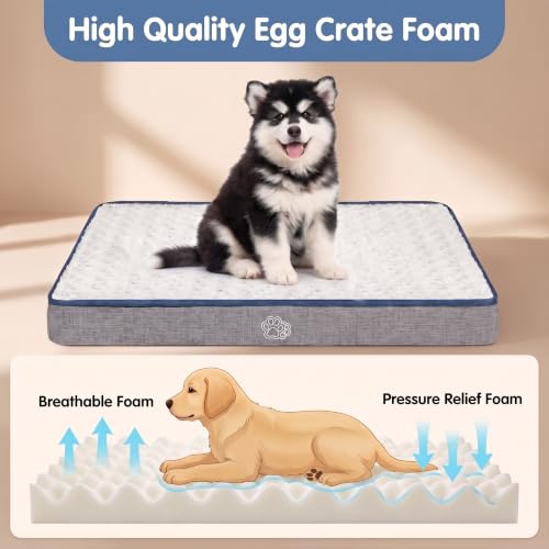Reversible Dog Bed Mat (M（30"x 20"x 2"）)