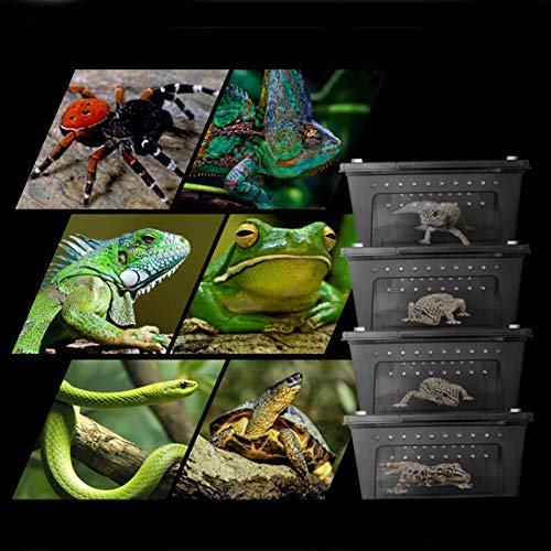 Portable Reptile Terrarium Habitat for Mini Pet Houses Breathable Holes Stackable Container (1PCS-Black-L)