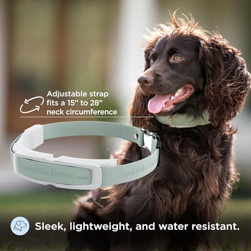 GPS Dog Fence Collar with White Flags & Red Treat Bag (GPS Fence Collar w/ White Flags & Red Treat Bag)