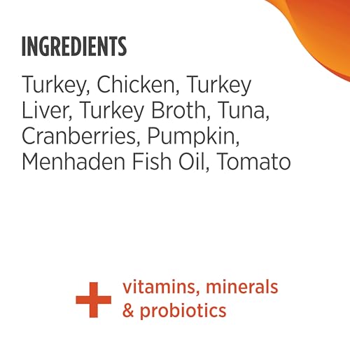 Turkey & Chicken Recipe Pate Wet Canned Cat Food (12.5 Ounce (Pack of 12))