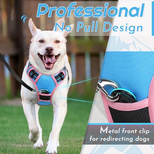 Dog Harness for Large Dogs (Large / Pink & Sky Blue)