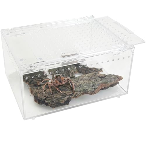 Reptile Terrarium Enclosure 8"x6"x4" Acrylic Tarantula Breeding Box Magnetic Hermit Crab Habitat Transparent Jumping Spider Cage for Insect Snail Amphibians Sling Isopods (S: Standard Version)
