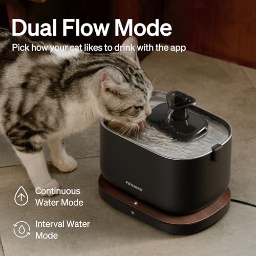 Cat Water Fountain (1 Fountain)