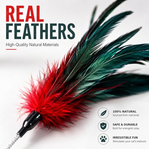 Cat Feather Wand Toy Set