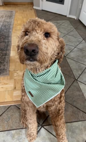 Dog Bandana for Small Medium Large Dogs (Green&White Grid / Small (Pack of 1))