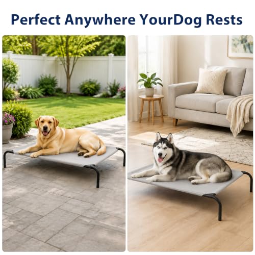Elevated Dog Bed for Large Dogs (Large / Grey)