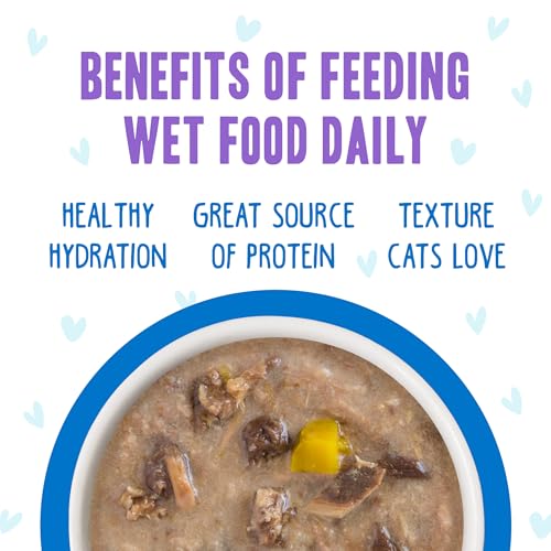 B.F.F. OMG Best Feline Friend Oh My Gravy! (2.8 Ounce (Pack of 12))