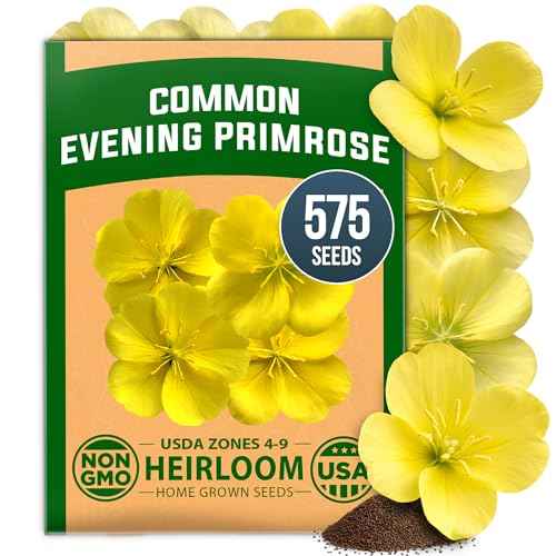 Evening Primrose Seeds