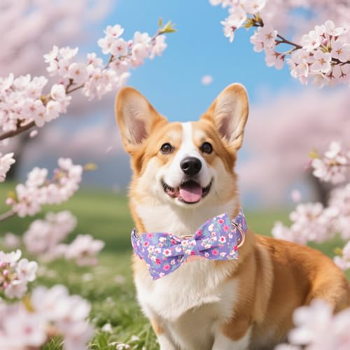 Cartoon Dog Collar with Bow Spring Summer Collar with Mutiflower for Small Medium Large Boys Girls Dogs (Small / Multiflora bow)