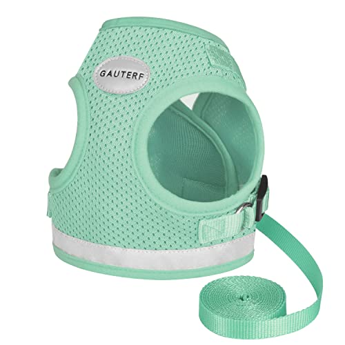 Cat Harness and Leash Set (L (Chest: 15" - 17") / Cyan)