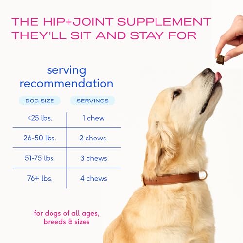 Mobility Care (60 Count)