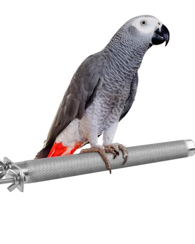 Bird Perch Stainless Steel (M: 9.8 x 1 inch)