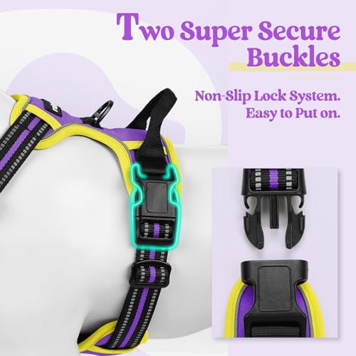 Dog Harness No Pull Medium Sized with 2 Leash Clips