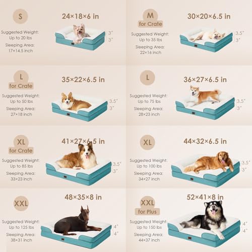 Orthopedic Small Dog Bed (Turquoise Blue / 24.0"l X 18.0"w X 6.0"th)