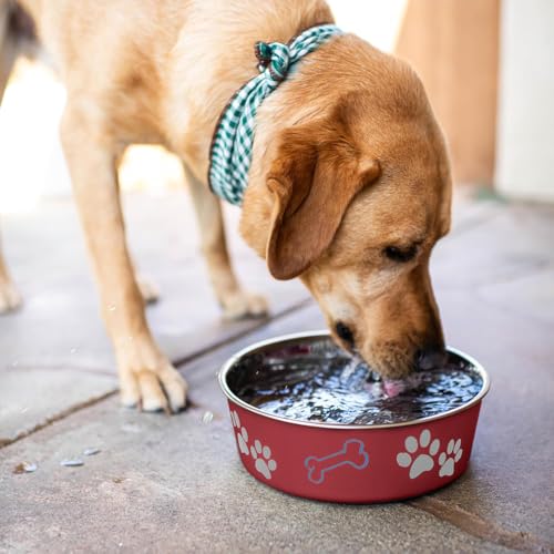 Bella Dog Bowls (Merlot / X-Large (65-100lbs))