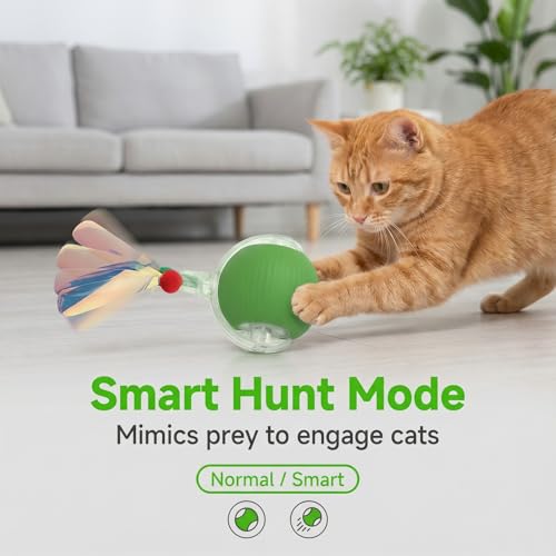 Interactive Cat Toy for Indoor Cats (Green)
