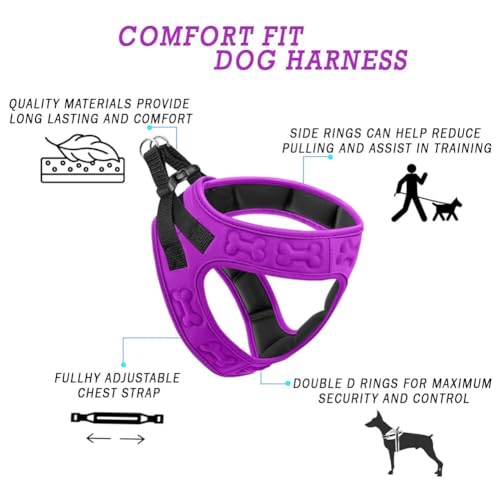Comfort fit Step (XS (Chest 13"-14.5") / Purple)