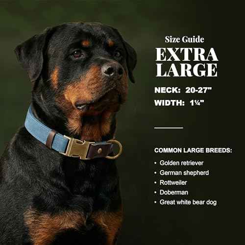 PU Leather Dog Collar for Large Dogs (Denim Blue / XL: Neck 20-27", Width 1¼")