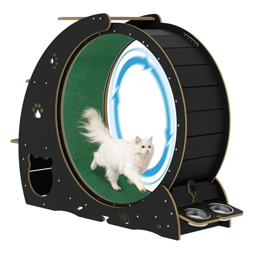 55" Multi Cat Exercise Wheel with 3