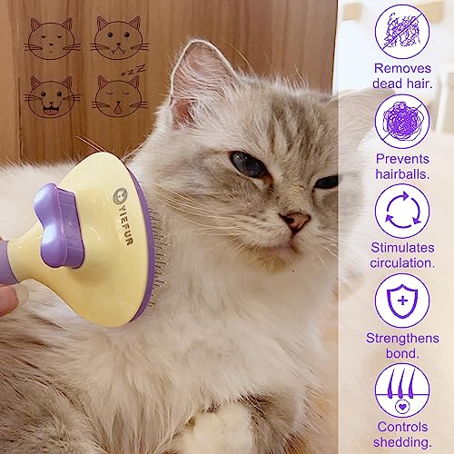 Cat Brush for Grooming and Shedding (Purple)