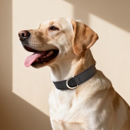 Soft Padded Dog Collars for Large Dogs (Black / XL: Fit 17-23" Neck)