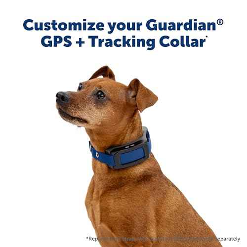 Guardian GPS 2.0 Replacement Collar Strap (Replacement Strap / Blue)