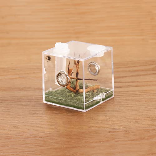 Jumping Spider Micro Habitat (2x2x2.1inches)