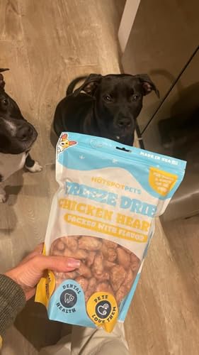 Freeze Dried Chicken Hearts for Cats & Dogs