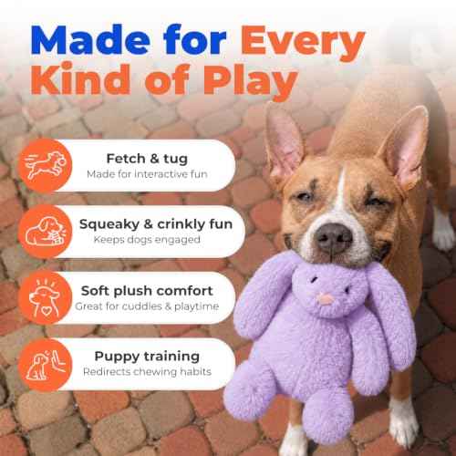 Bunny Buddy Squeaky Plush Dog Toy (Bunny (Purple) / Small)