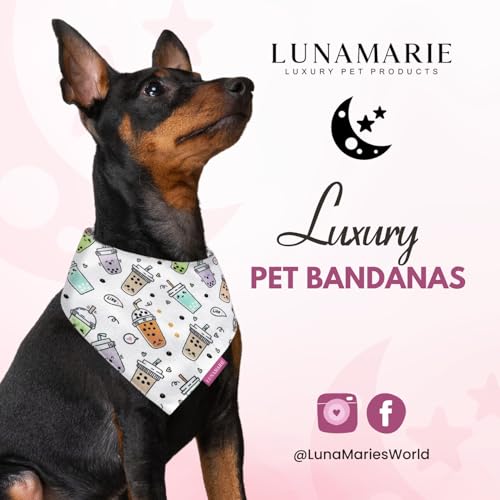 Luxury Pet Birthday Bandanas (Boba / Medium)