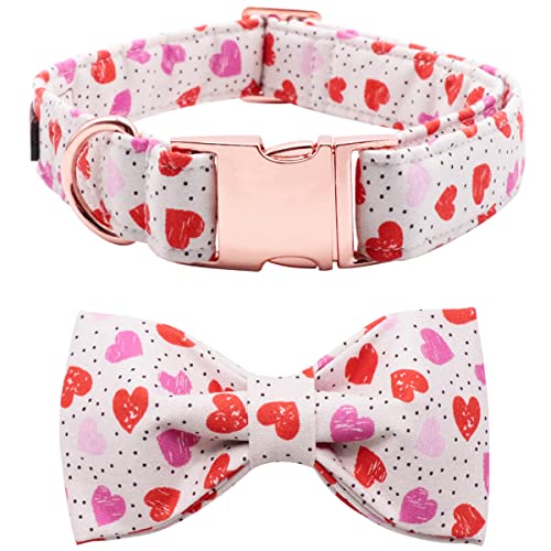 Valentines Day Dog Collar with Bowtie (Hearts / Small (Pack of 1))