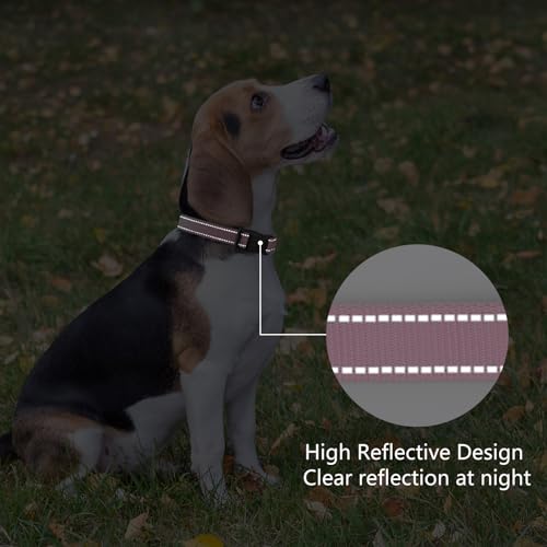Reflective Dog Collar (Pink / XS:width 5/8"neck 8-10.5")