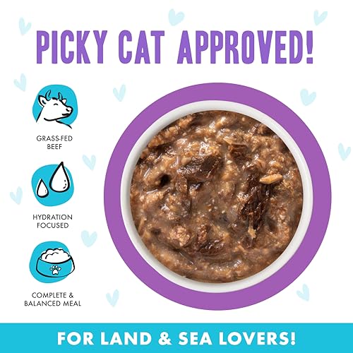 B.F.F. OMG Best Feline Friend Oh My Gravy! (2.8 Ounce (Pack of 12))